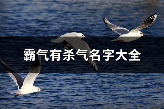 最牛网名精选，霸气、独特、个性十足！插图