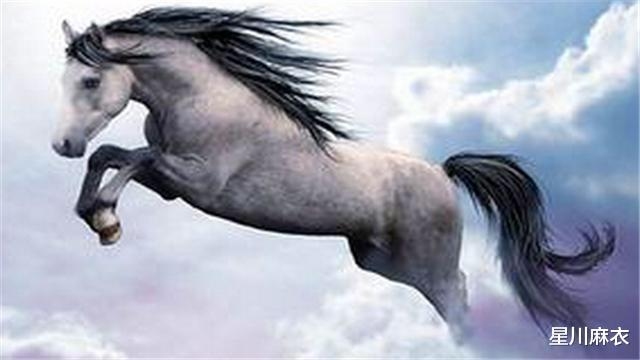 知书达理生肖马插图