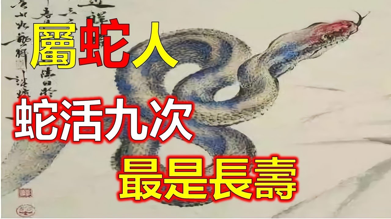 自食其果的生肖谜底是蛇。插图