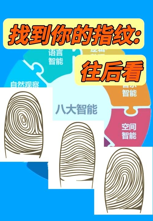 指纹类型解析插图