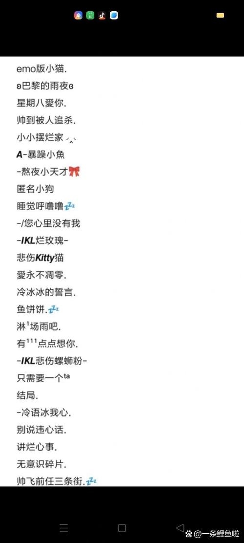 最新女生网名精选集 2013版插图