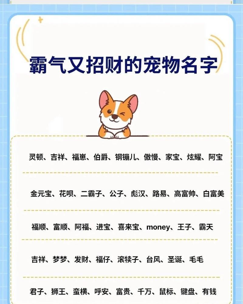 最新热门狗狗名字及寓意，，球球、旺才，活泼可爱，寓主人财运旺盛。，点点、波波，小巧玲珑，寓意生活多姿多彩。，狂狼、铁血，体现霸气野性，力量强大。，来福、元宝，福气来临，财富象征。，金金、钻石，高贵风雅，金光闪耀，富贵逼人。插图