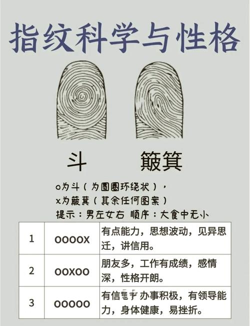 指纹算命探秘，独一无二纹路揭示命运走向插图