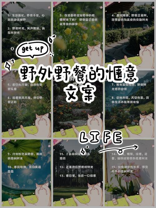 周末野餐文案插图