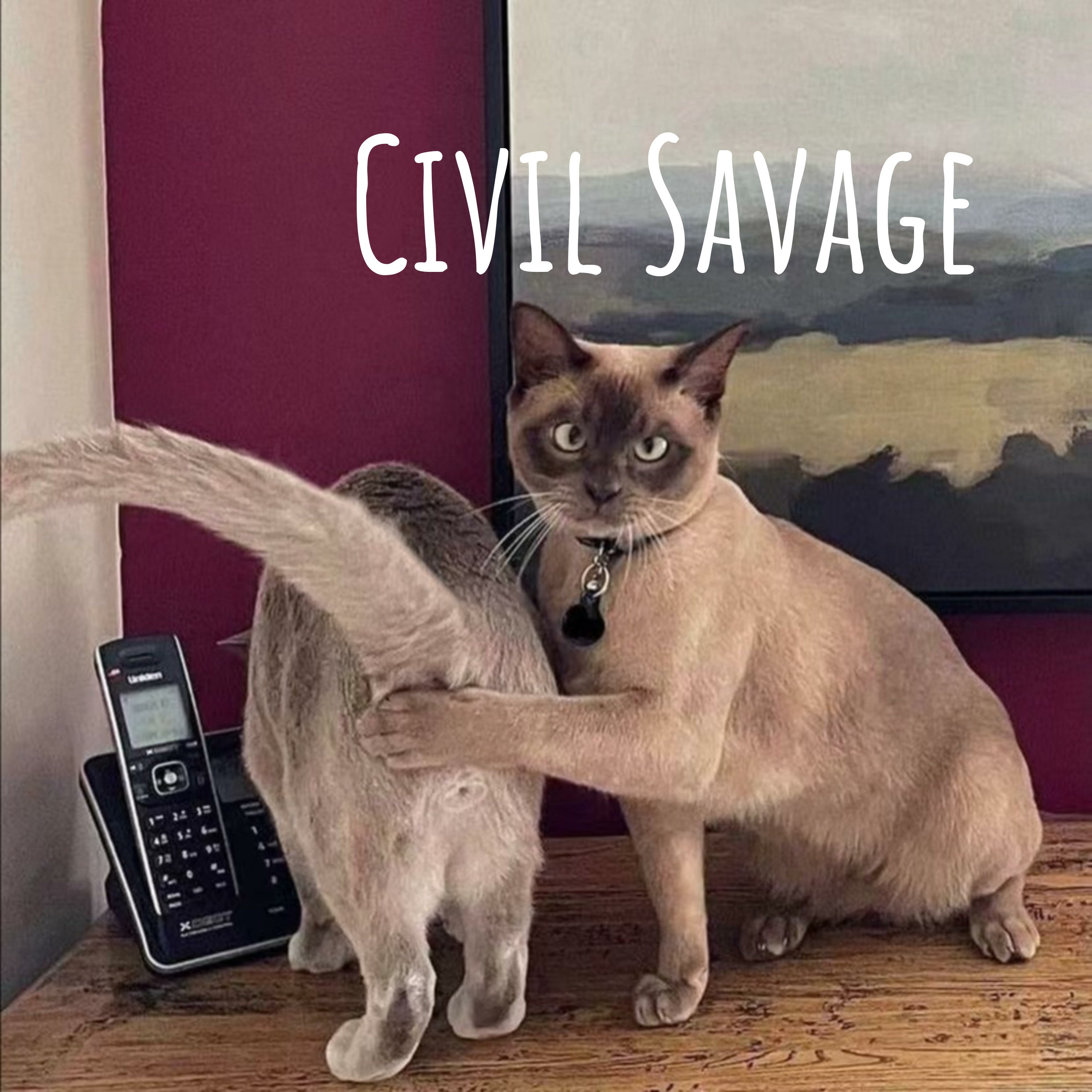 在线占卜爱情运势标题,在线卜卦揭秘,你的爱情故事走向如何?,爱情塔罗牌解读,情感走势大解析!,塔罗占心术,探寻爱情的未来轨迹。插图 在线占卜爱情运势标题,在线卜卦揭秘,你的爱情故事走向如何?,爱情塔罗牌解读,情感走势大解析!,塔罗占心术,探寻爱情的未来轨迹。插图