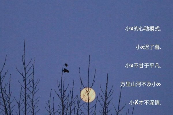 爱不弃人网名-红迪亚