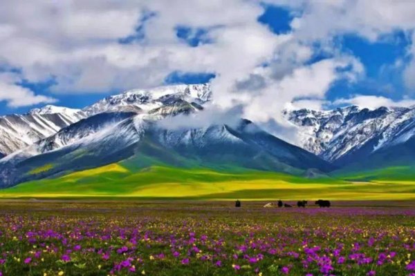 阿克苏地区,风土人情、环境与生活方式的深度解读-红迪亚