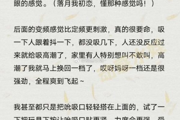 暴风雨之梦解析，挑战与激情的交织-红迪亚