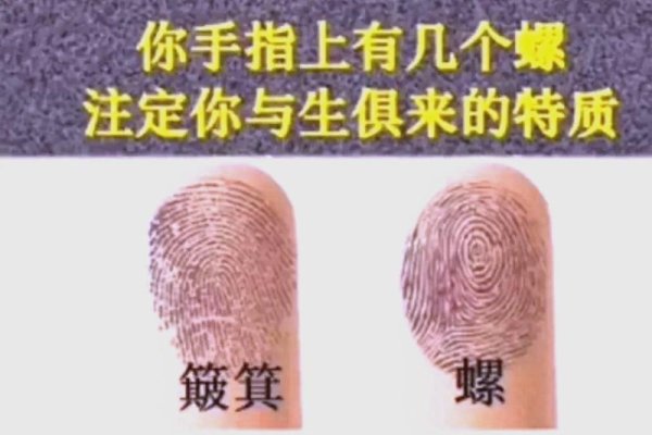 八个手螺命理解析-红迪亚