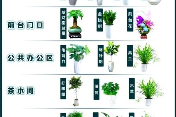 办公室花卉摆放风水原则与方位指南-红迪亚