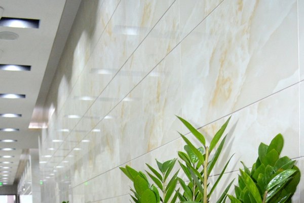 办公室植物摆放风水技巧-红迪亚