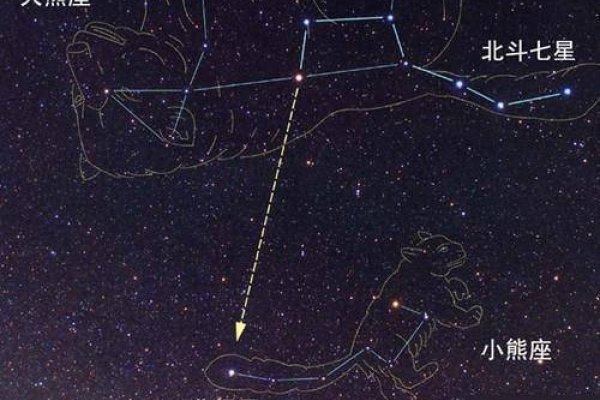 北极星小熊座之星-红迪亚