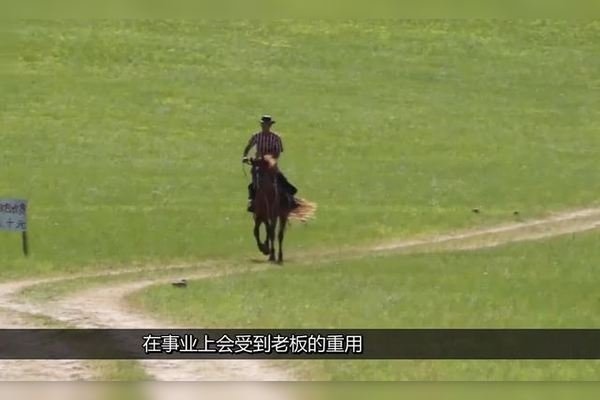 本命年属马者注意事项，身体锻炼、红色衣物助力避太岁，谨慎应对事业与财运挑战-红迪亚