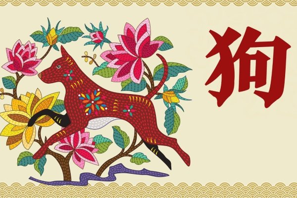 白日做梦暗示的生肖是狗-红迪亚