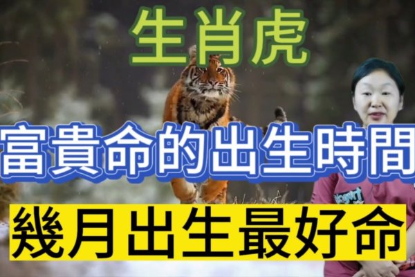 兵生肖虎-红迪亚