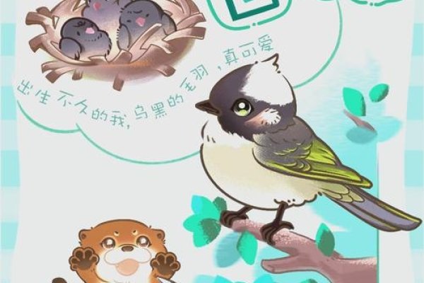 白头翁生肖之谜-红迪亚