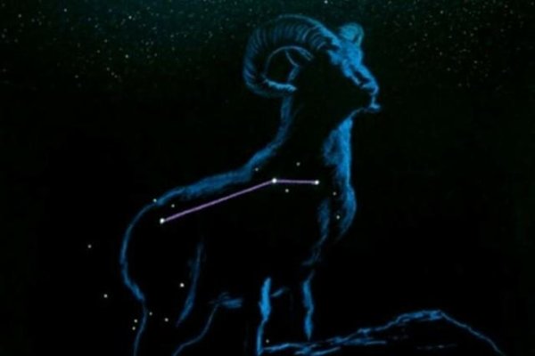 白羊座男生性格特点，勇敢无畏、冲动冒险，感情充沛且专一。白羊男值得信任，对感情真诚并勇于面对挑战。-红迪亚