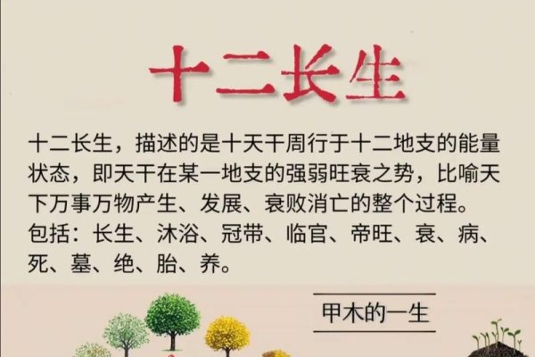 八字命理入门，解读长生十二运与格局分析建议，揭秘八字命理学中的长生十二运及命运格局解析-红迪亚