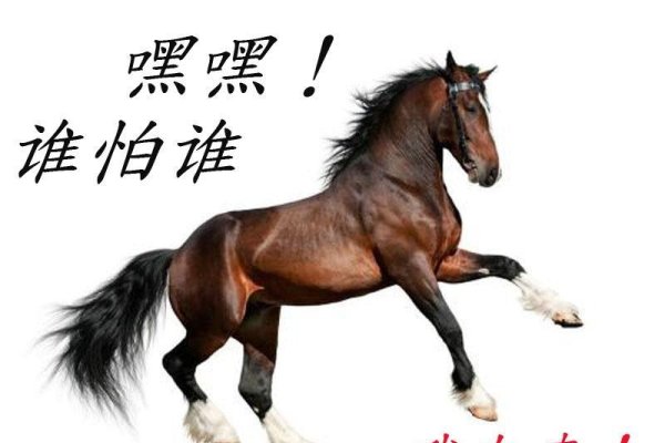 超群出众猜生肖，答案聚焦马与鸡。-红迪亚