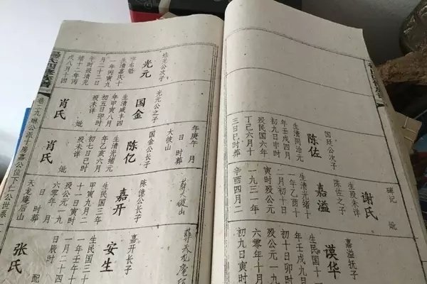 陈氏家谱字辈排行全解-红迪亚