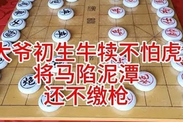 初生牛犊不怕虎的生肖之谜-红迪亚