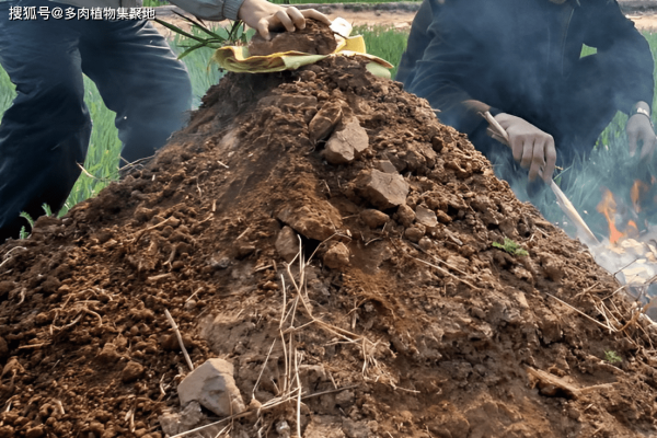 春社上坟最佳时间表-红迪亚