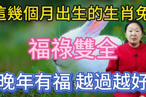 出水芙蓉与生肖，牛兔皆有可能，或是数字29的暗示？-红迪亚