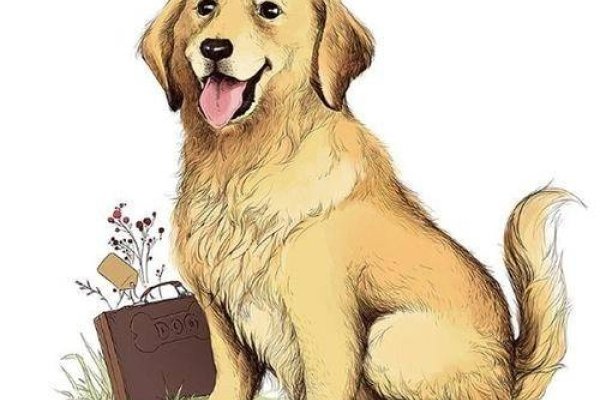 冲太岁属狗的如何化解2024年的困扰与挑战-红迪亚