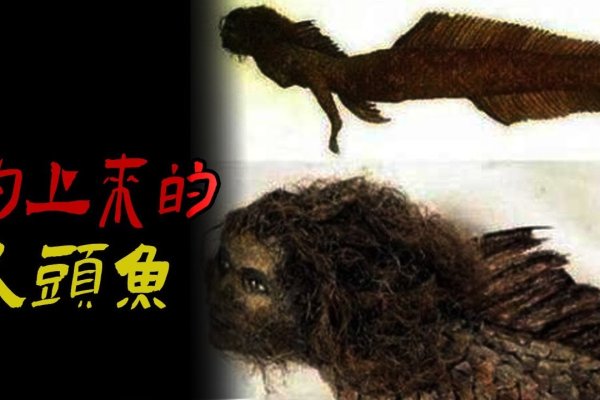 沉鱼落雁与生肖之谜。-红迪亚