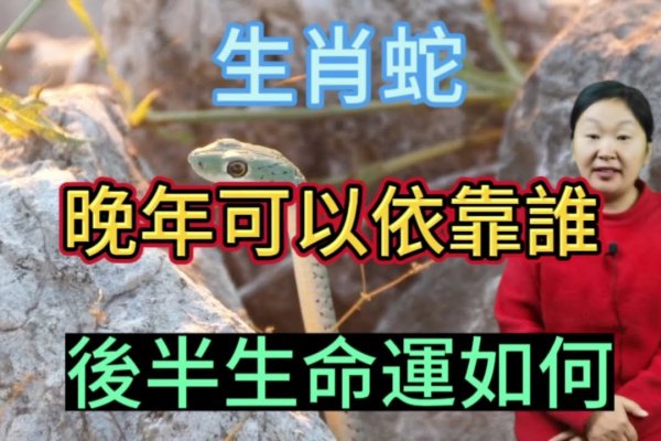 长寿万年生肖蛇-红迪亚