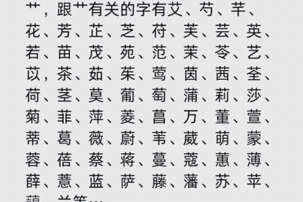 草字头的字都有哪些（草字头的字全部有哪些）-红迪亚