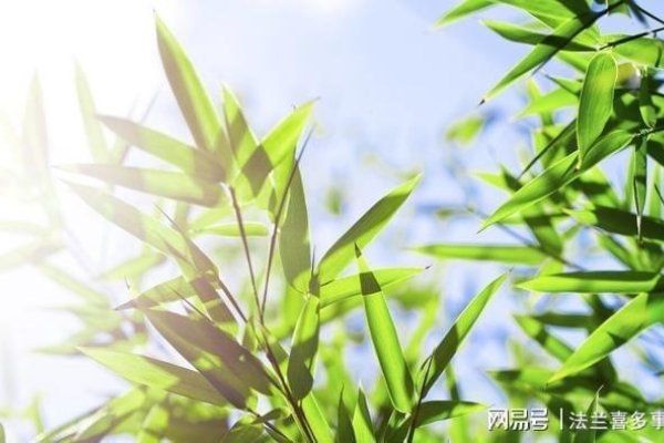 草字头名字精选，莲荷、荫莴、茉节、葡萄芽苗等，适合自然清新男孩女孩取名。-红迪亚
