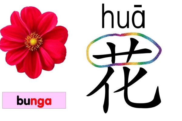 草字头相关汉字介绍及姓氏汇总标题，探索艹部首的丰富内涵与众多姓氏起源-红迪亚