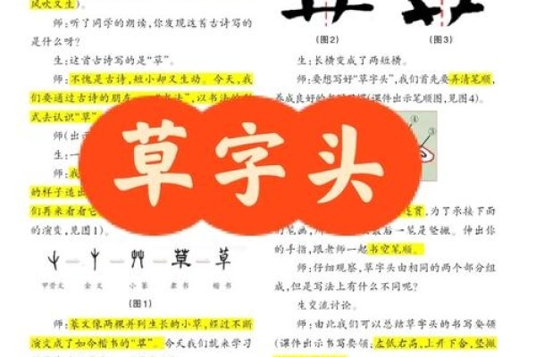 带草字头的汉字及其含义概述，莲、荷等都与植物有关，还有如苒等的时光流逝之意。适合男兔的名字推荐及寓意解析。标题建议，草字头汉字的奥秘与男孩名字精选或探寻草字头字的内涵和生肖属兔的男宝宝起名指南。-红迪亚