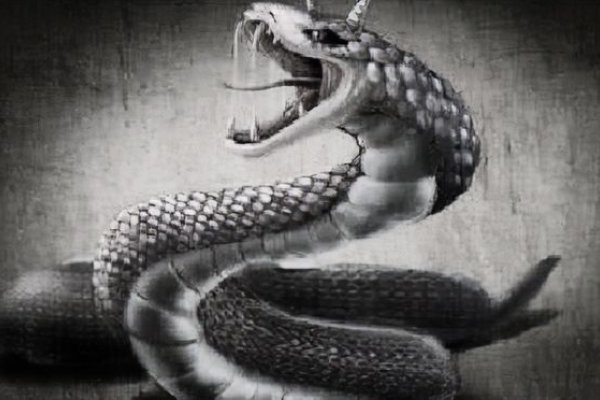 大地万千的生肖之谜，牛、蛇还是马？-红迪亚