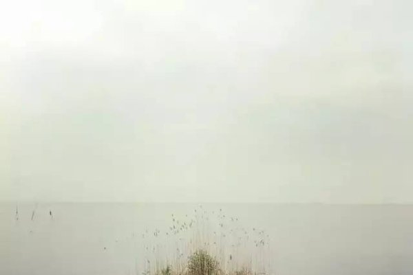 低调优雅男士网名创意推荐，踏雪寻梅、素心若雪、静水深流-红迪亚