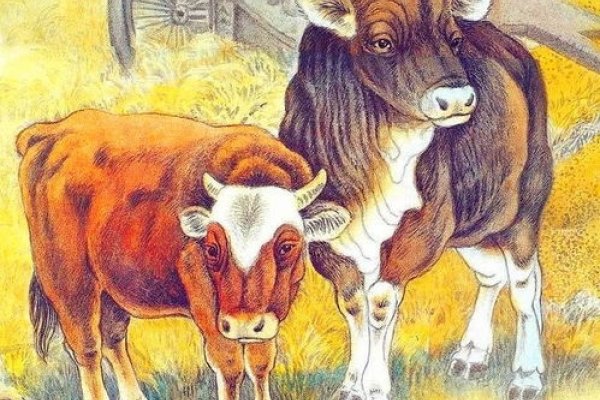 大公无私的生肖——牛。-红迪亚