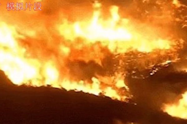 大火烧山野兽伤打一生肖-红迪亚