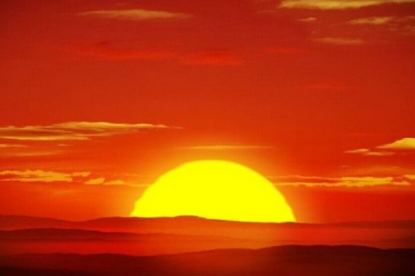 东海一朵花牵藤西山洼花开谜底牛-红迪亚