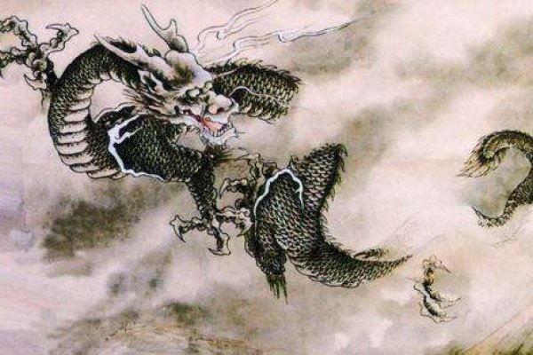 大起大落生肖龙-红迪亚