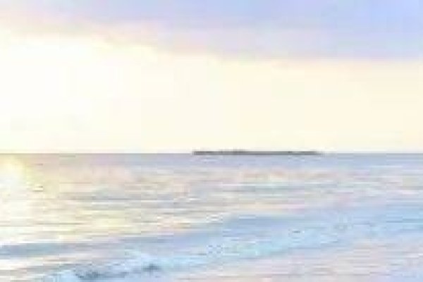 独特网名推荐，墨宸韵意深长，瑾瑜珍贵内涵。静水深流沉稳内敛；墨韵诗心艺术气质出众。这些高端大气有底蕴的网名值得一试！，个性十足的昵称如神秘刺客、忍者逆袭等充满霸气与高冷魅力。女生可用冷月寒江表现独立自信气场强大形象。男生快手昵称战神殇璃展现霸气风采。还有冷酷冰山风格适合喜欢冰冷风格的网友使用。此外还有一些简短可爱的网名供选择参考。同时也有关于服装商标名字和好听的男生网名的内容供参考挑选喜欢的名称作为个人独特的标识符号之一。-红迪亚