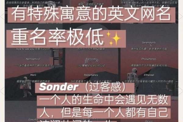 独特小众的英文女生名字推荐，直接概括了内容主题，即提供了一些独特且不常见的英文女性名字供选择。-红迪亚