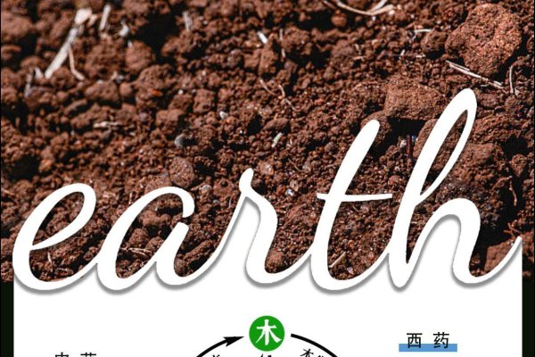 带土字旁的字及相关五行属性解析标题简洁明了，符合您的要求。-红迪亚