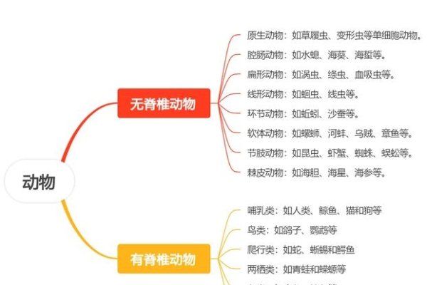 动物名称大全，动物百科知识集锦-红迪亚