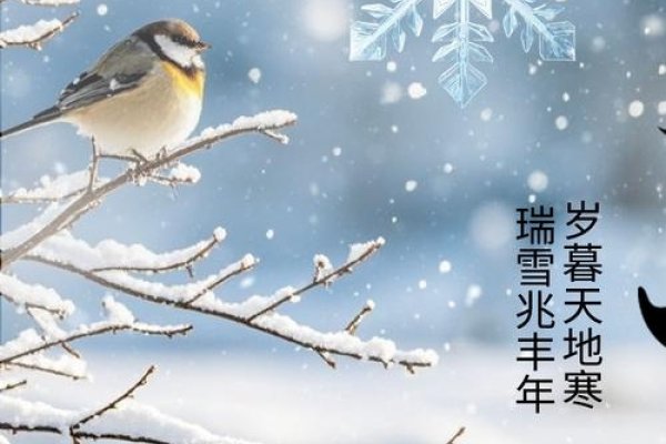 大雪纷飞寓意吉祥-红迪亚