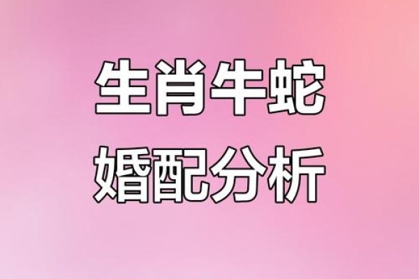 大龄女人代表的生肖，是牛还是蛇？-红迪亚