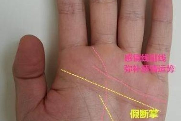 断掌女性的命运解析，智慧非凡，财运亨通还是克夫之命？-红迪亚