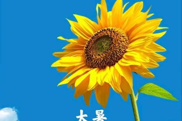 大暑日期，公历7月22日至24日，寓意酷热至极。-红迪亚