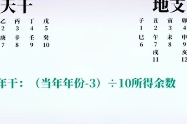 电脑算命生辰八字解析-红迪亚