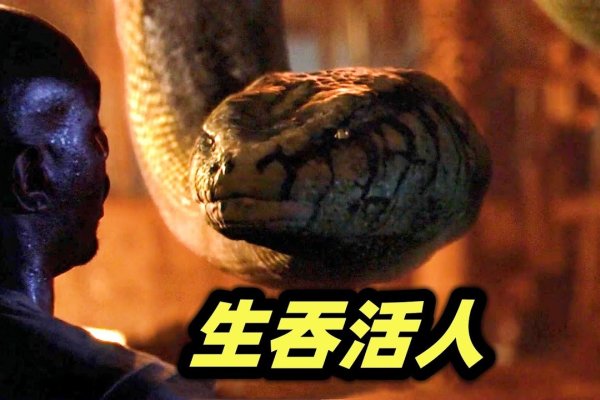 大蟒吞人，警示与生存之道-红迪亚